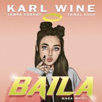 Скачать mp3 Karl Wine, Tampa Curhat - Baila